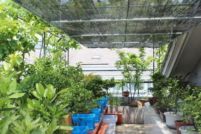 庭院花房绿植遮阳网